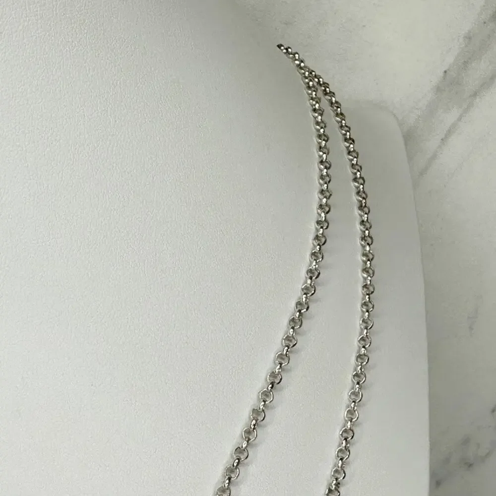 Chico's Layered Hammered Disc Rhinestone Silver Long Necklace ✨
